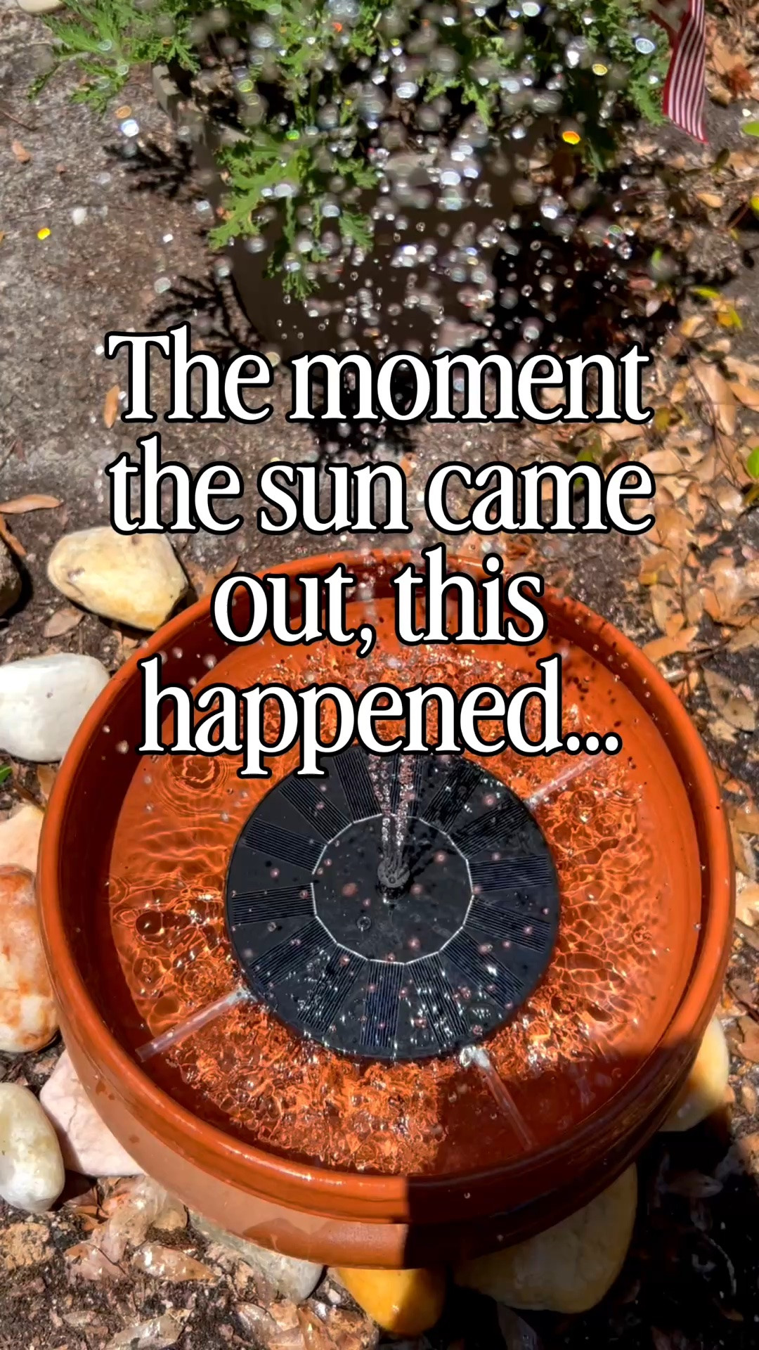 $13 Amazon find! Solar powered water fountain.

#LTKHome #LTKSeasonal