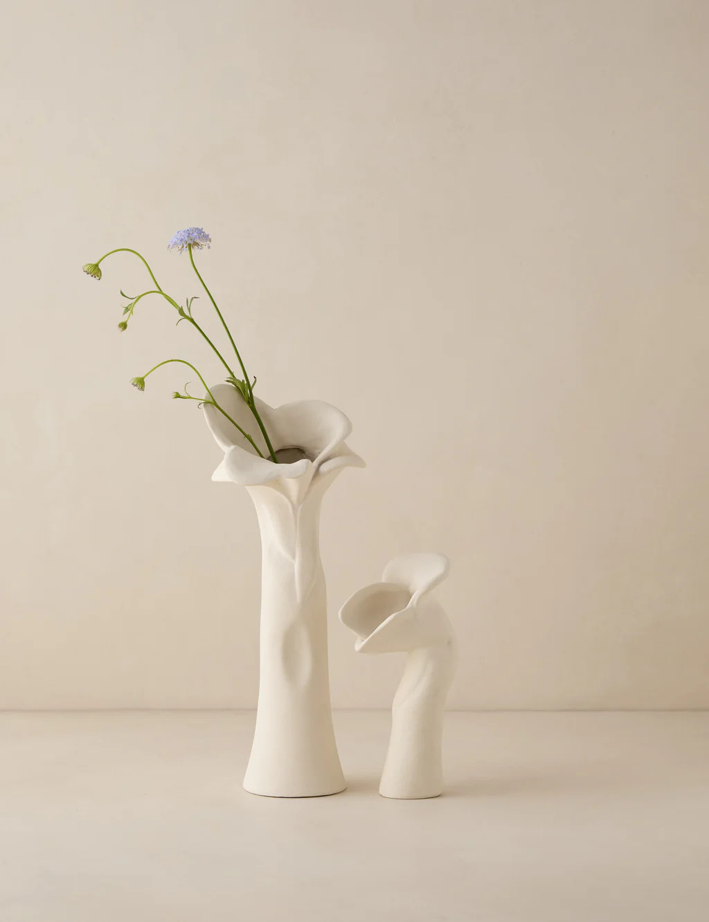 Pari Sculptural Vases (Set of 2) | Lulu and Georgia 