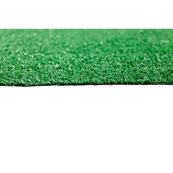 Style Selections Artificial grass Utility 6-ft x 8-ft Artificial Grass | Lowe's