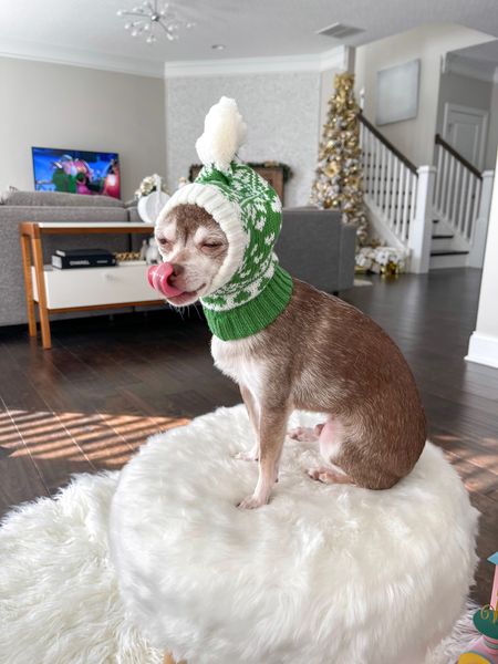 Winter dog hat!

#LTKfamily #LTKunder50 #LTKSeasonal