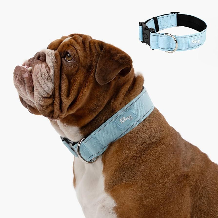 DF Co. Tactical Dog Collar | Comfortable & Secure with Quick Release Clip Buckle and Heavy Duty D... | Amazon (US)