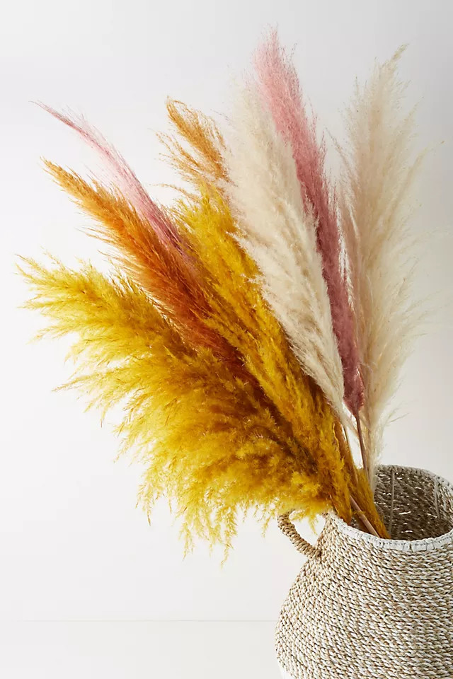 Dried Pampas Grass Three-Stem Bouquet | Anthropologie (US)