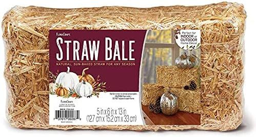 FloraCraft Straw Bales, 5-Inch-by-6-Inch-13- Inch Bale | Amazon (US)