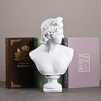 11.8 Inch Classic Greek White David Man Bust Statue, Large Resin Roman Goddess Apollo Sculpture f... | Amazon (US)