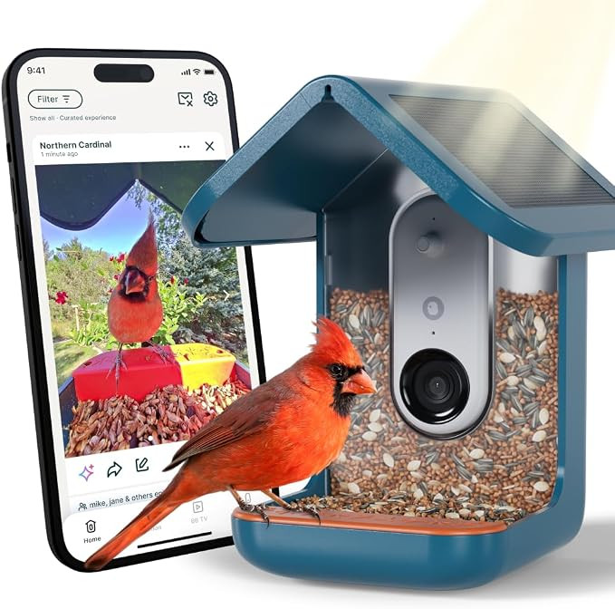 Birdbuddy PRO Solar Smart Bird Feeder with Camera - AI Bird Species Identification, 5MP Photos, 2... | Amazon (US)