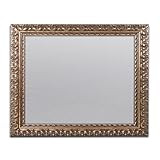 Trademark Fine Art Heavy Duty 11x14 Gold Ornate Picture Frame | Amazon (US)