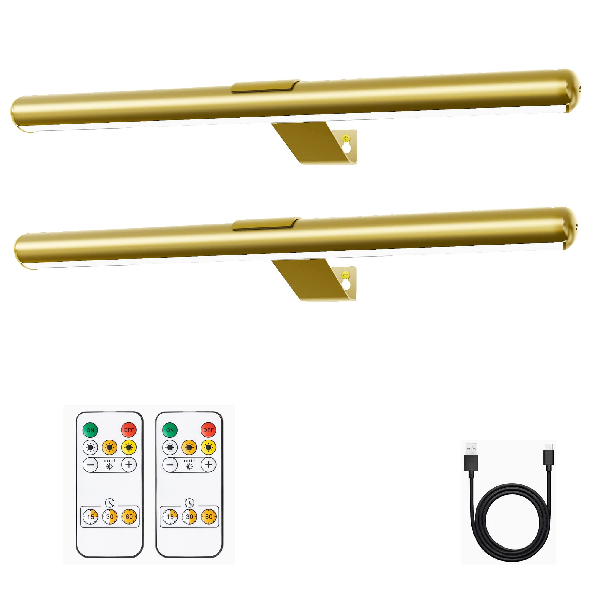 Battery Picture Lights 16 inch-2PACK , Wireless Rechargeable Painting Light for Art with Remote, ... | Amazon (US)