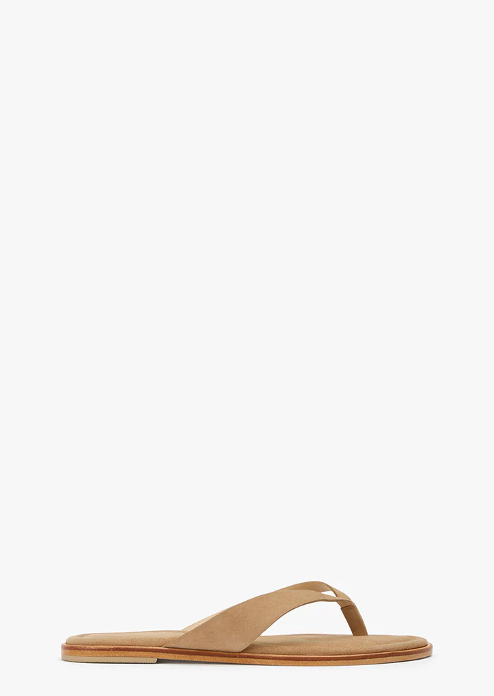 Sahara Wheat Suede | Tony Bianco US