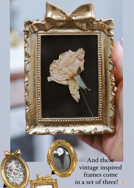 The flower I was wearing in my hair when Luke proposed🥹

LOVE this tiny vintage-inspired frame, and these come in a set of 3!

#LTKhome #LTKfindsunder50 #LTKstyletip
