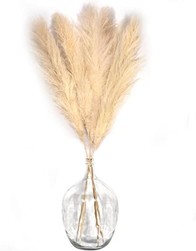 59” (5 FT) Tall Pampas Grass Decor 4 Stems - Dried Pampas Grass Decor Tall for Flower Arrangements - | Amazon (US)
