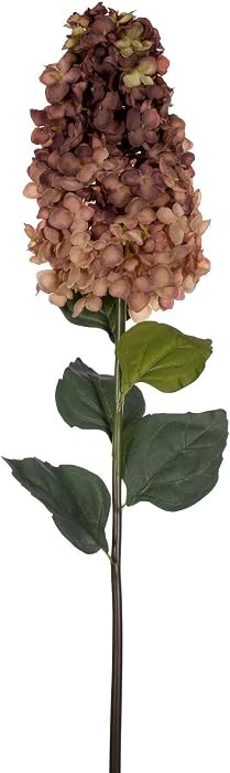Vickerman 35.5" Coffee Artificial Cone Hydrangea Spray, 2 per Bag. | Amazon (US)