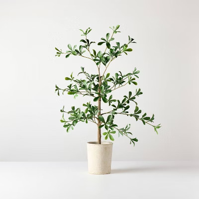 28" Mini Black Olive Artificial Tree - Hearth & Hand™ with Magnolia | Target