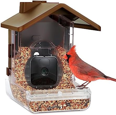 Wasserstein Bird Feeder Camera Case Compatible with Blink, Wyze & Ring Security Cameras Including... | Amazon (US)