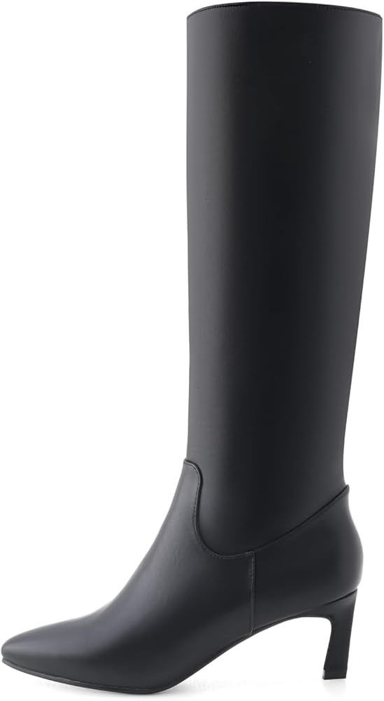 Knee High Boots for Women Kitten Heel Pointed Toe Low Mid Heel Long Tall Boots | Amazon (US)