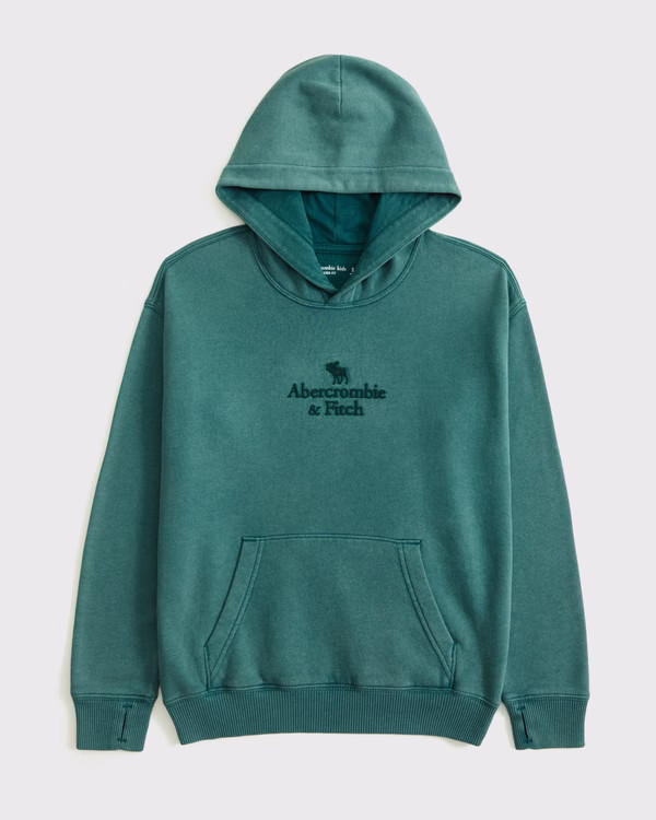 boys logo popover hoodie | boys | Abercrombie.com | Abercrombie & Fitch (US)