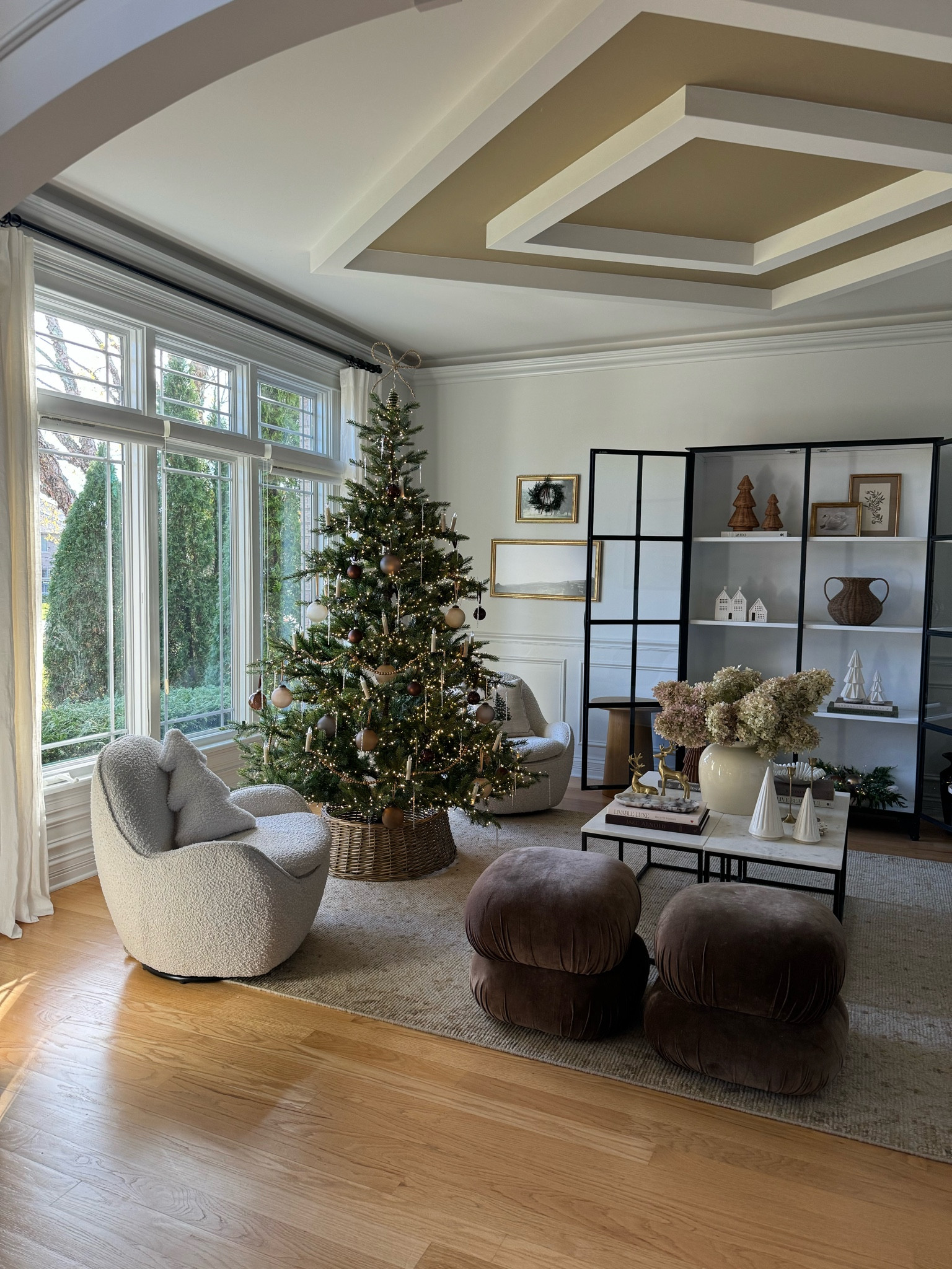 Living room Christmas views!

#LTKHome #LTKHoliday #LTKCyberWeek