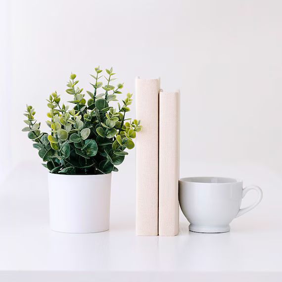 Set of 2 Coffee Table Books|Coastal Shelf Decor|Staging Books|Neutral Shelf Decor|Neutral Fabric ... | Etsy (US)