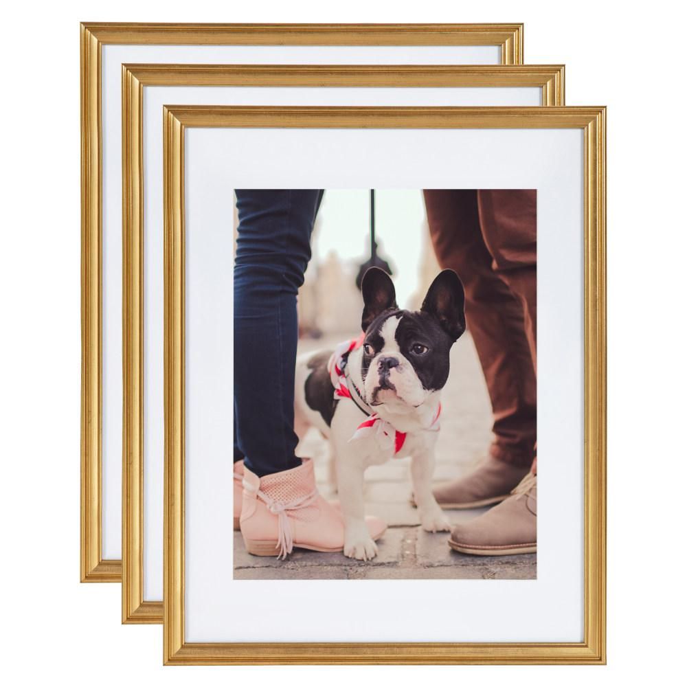 Kate and Laurel Adlynn 14 in. x 18 in. matted to 11 in. x 14 in. Gold Picture Frames (Set of 3) | The Home Depot