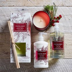 Williams Sonoma Winter Berry Hand Soap | Williams-Sonoma
