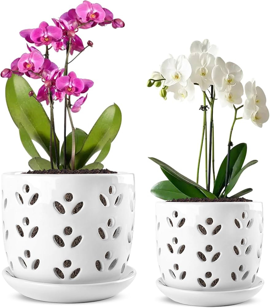 REMIAWY Orchid Pot, 2 Pack Orchid Pots with Drainage Holes and Saucer, 6 Inch and 5 Inch Large Ce... | Amazon (US)