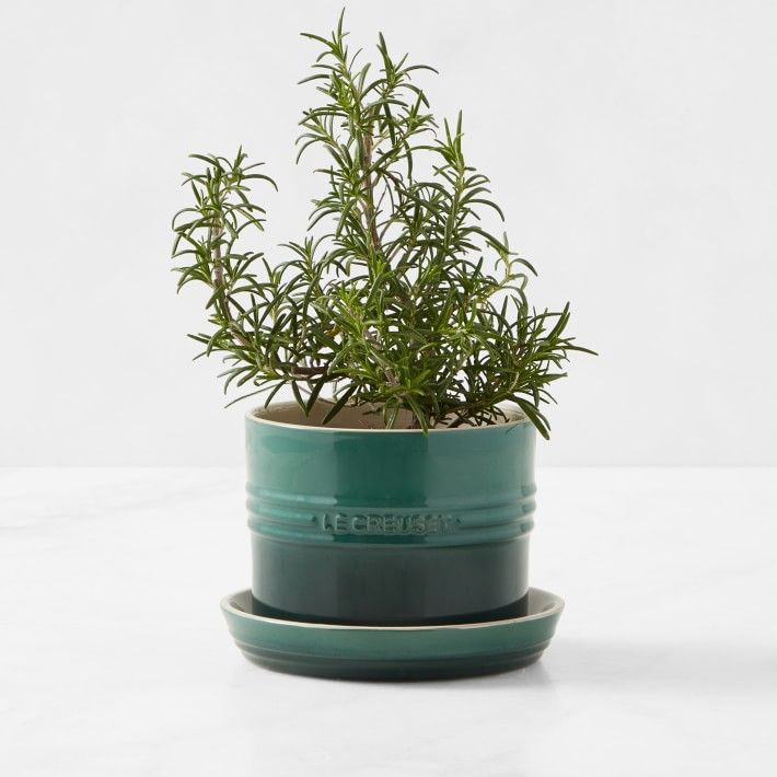 Le Creuset Herb Planter with Tray | Williams-Sonoma