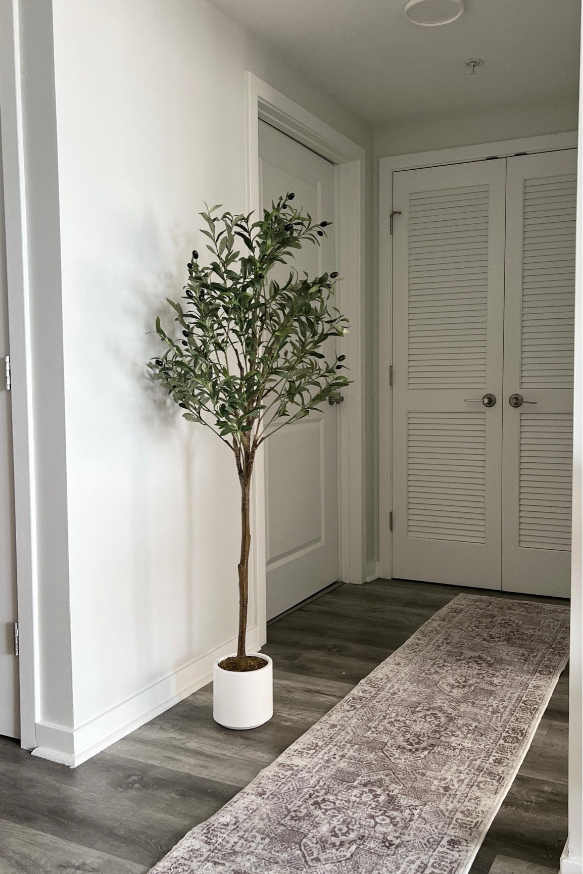 My toddler loved playing in the soil of one of my previous plants a little too much, so we’re switching it for this cute artificial olive tree so she can’t reach the branches! 🍃

@realcozyflora #cozyflora #cozyflorapartner #cozyhomedecor #fauxolivetree #indoorgreenery #botanicalvibes #AmazonFinds #

#LTKHome