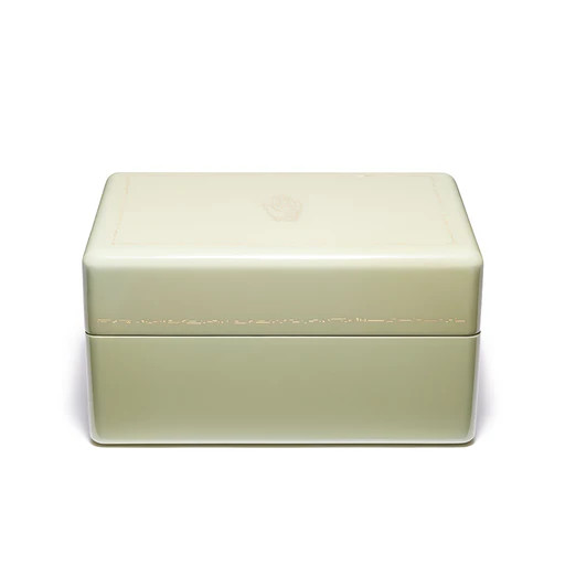 Mint Mini Trunk Jewelry Box | TWIST
