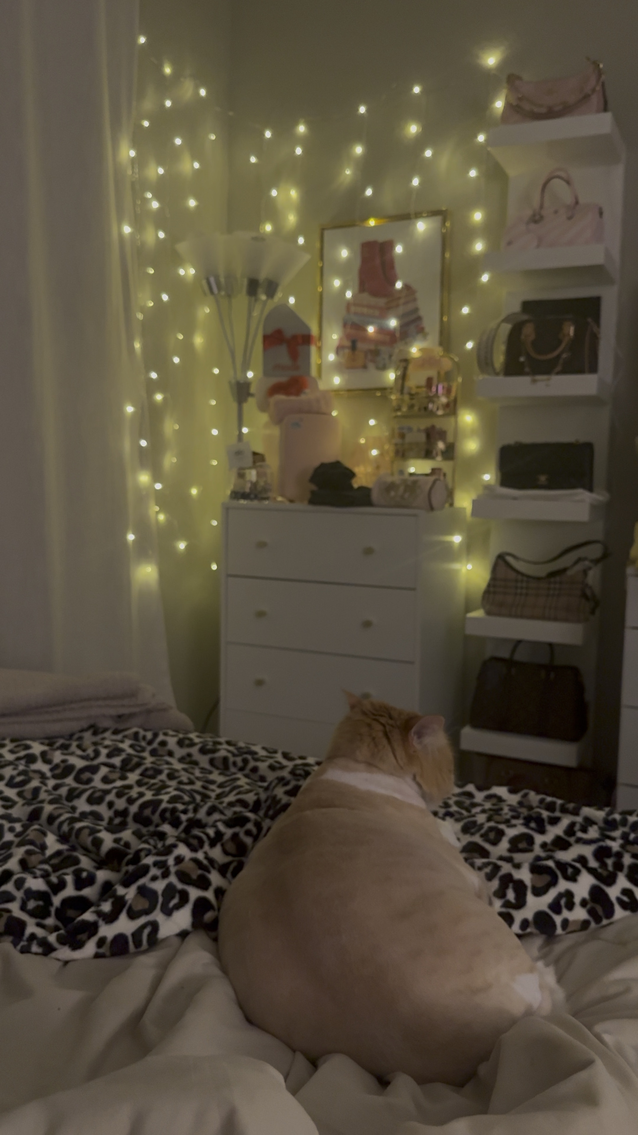 I’ve been getting my bedroom all cozy for fall 🍂✨🛌 How fun are these fairy lights? They illuminate such a special vibe. 🙌
.
#fairylights #roomdiy #roomhaul #targethaul #amazon #bedroomgoals #dormready #dorm #apartment 

#LTKfindsunder50 #LTKhome #LTKSeasonal