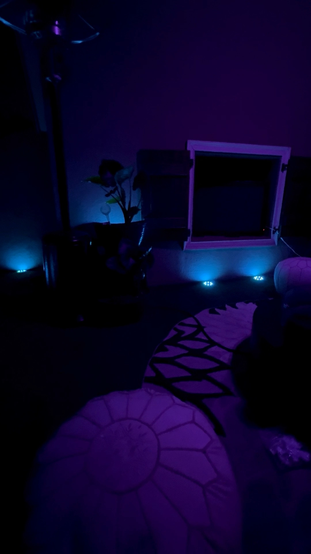 Look at what I found!!! 👀 As I’m trying to accessorize my rooftop deck, I find myself trying out all kinds of things. I came across these remote controlled color changing solar lights the other day and I don’t gate keep… I share! I bought the 10 pack and so far I love them.

#LTKHome #LTKFindsUnder100