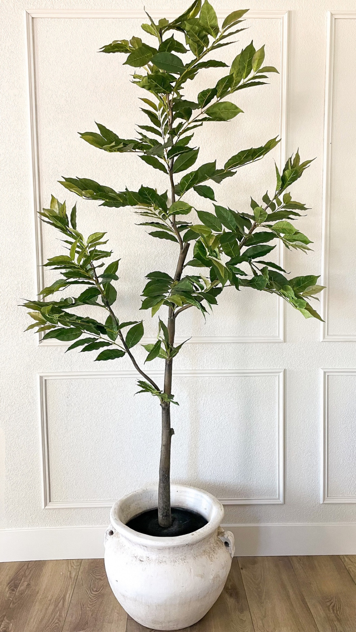 Finding faux greenery is SUCH a challenge, especially when you want something large! I’m very picky about what the stems, color, and leave look like so I was very excited when this 7 foot beauty arrived from @wayfair! It checks all the boxes and is also a great price at 47% off with free shipping 🙌🏻

#OnlyAtWayfair #wayfair #wayfairpartner

#LTKStyleTip #LTKSaleAlert #LTKHome