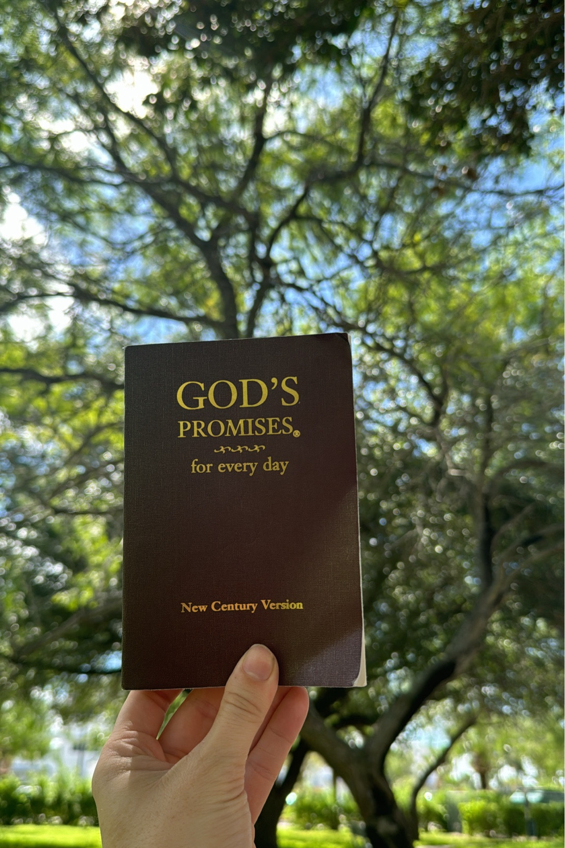 The best Bible companion book. Verses are organized by topic so you can flip two verses on whatever area you were struggling with and binge on that topic! Under $4!

#christian #biblestudy

#LTKFamily #LTKHome #LTKFindsUnder50