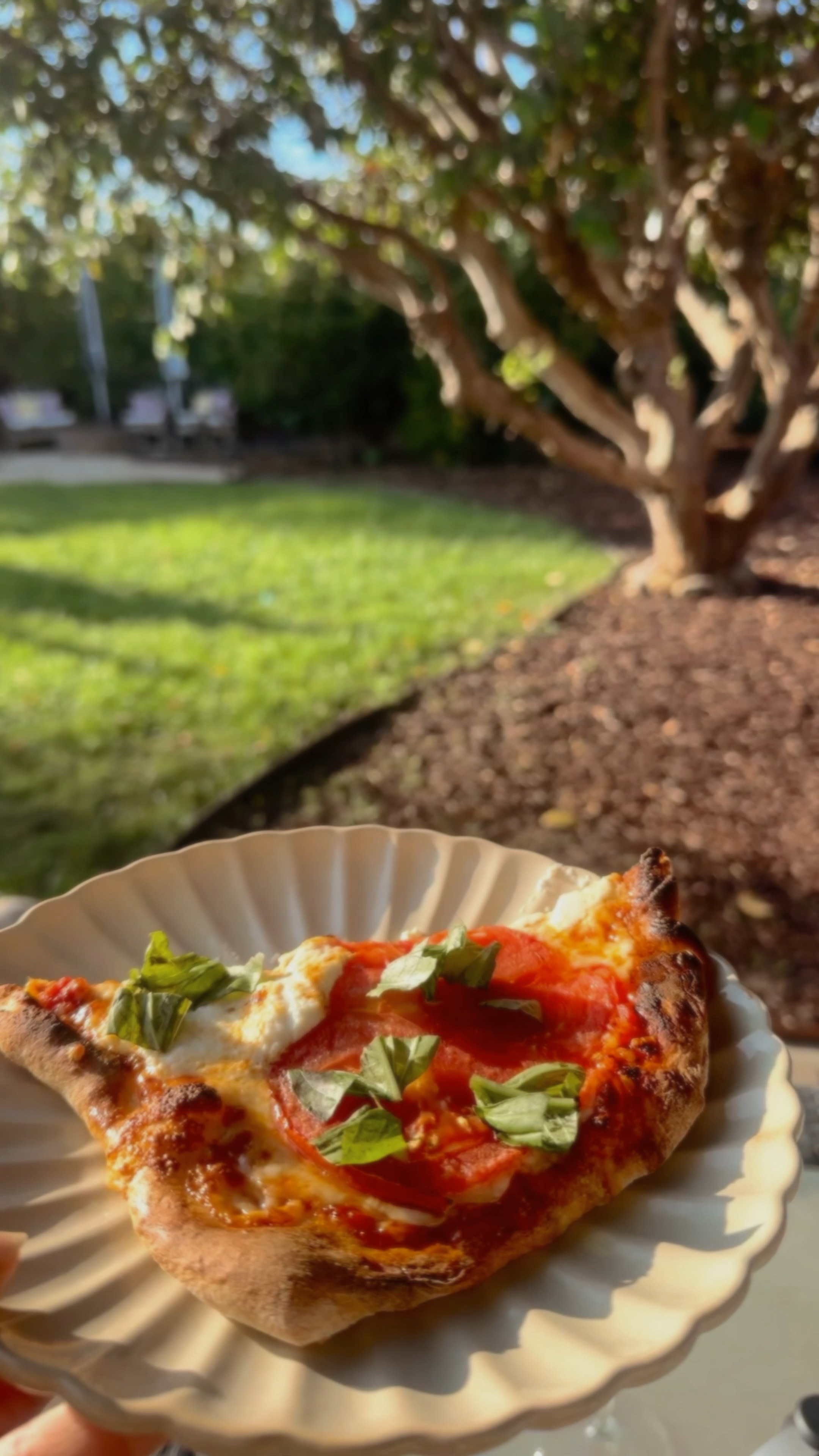 Outdoor pizza oven! #backyard #pizzaoven #summerfun

#LTKHome