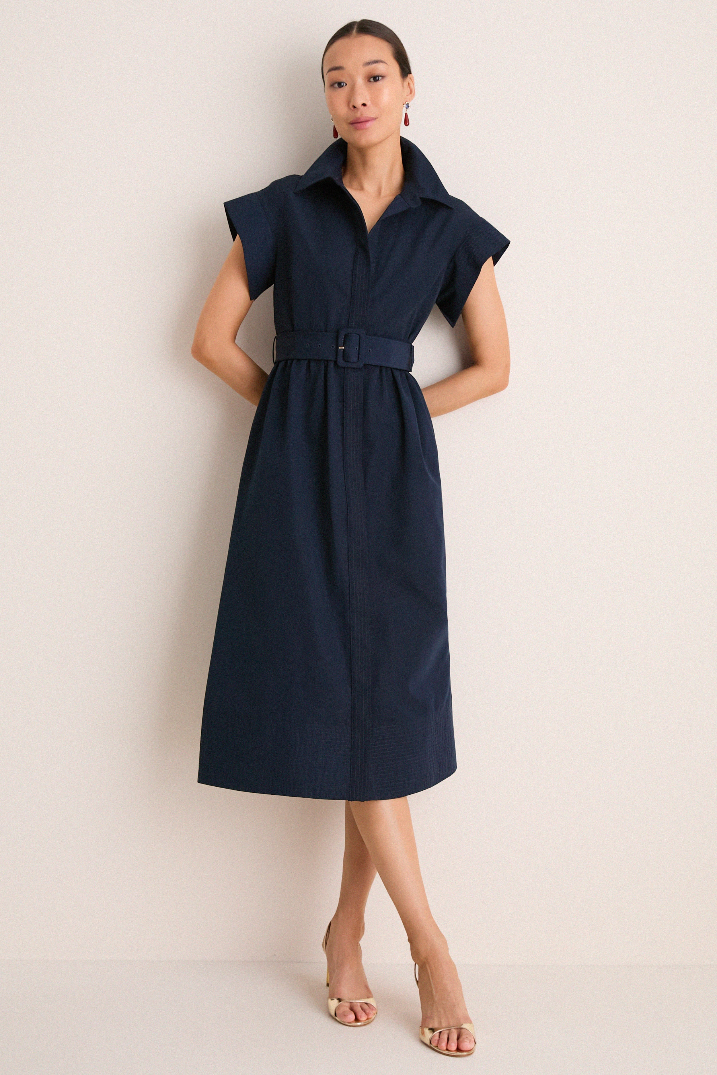 Navy Chloe Dress | Tuckernuck (US)
