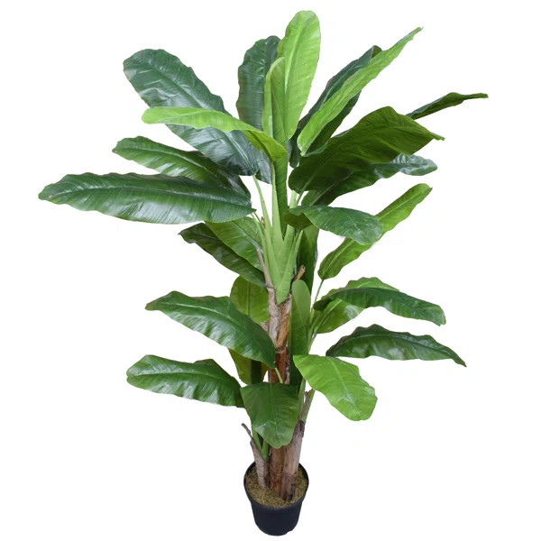 Silk Banana Leaf Tree in Pot | Wayfair North America