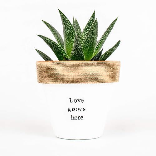 Personalized plant pot wedding anniversary engagement gifts for couple housewarming valentines gi... | Amazon (US)