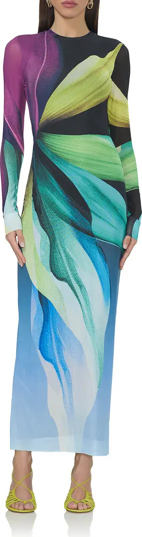 Didi Printed Long Sleeve Mesh Maxi Dress | Nordstrom