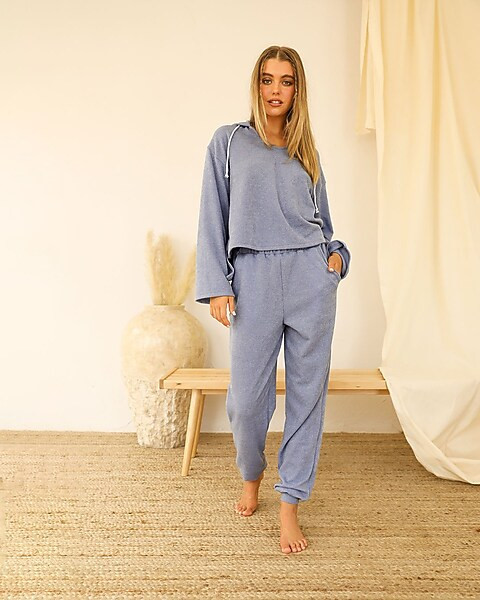 Dippin' Daisy's Willow Hoodie | Express