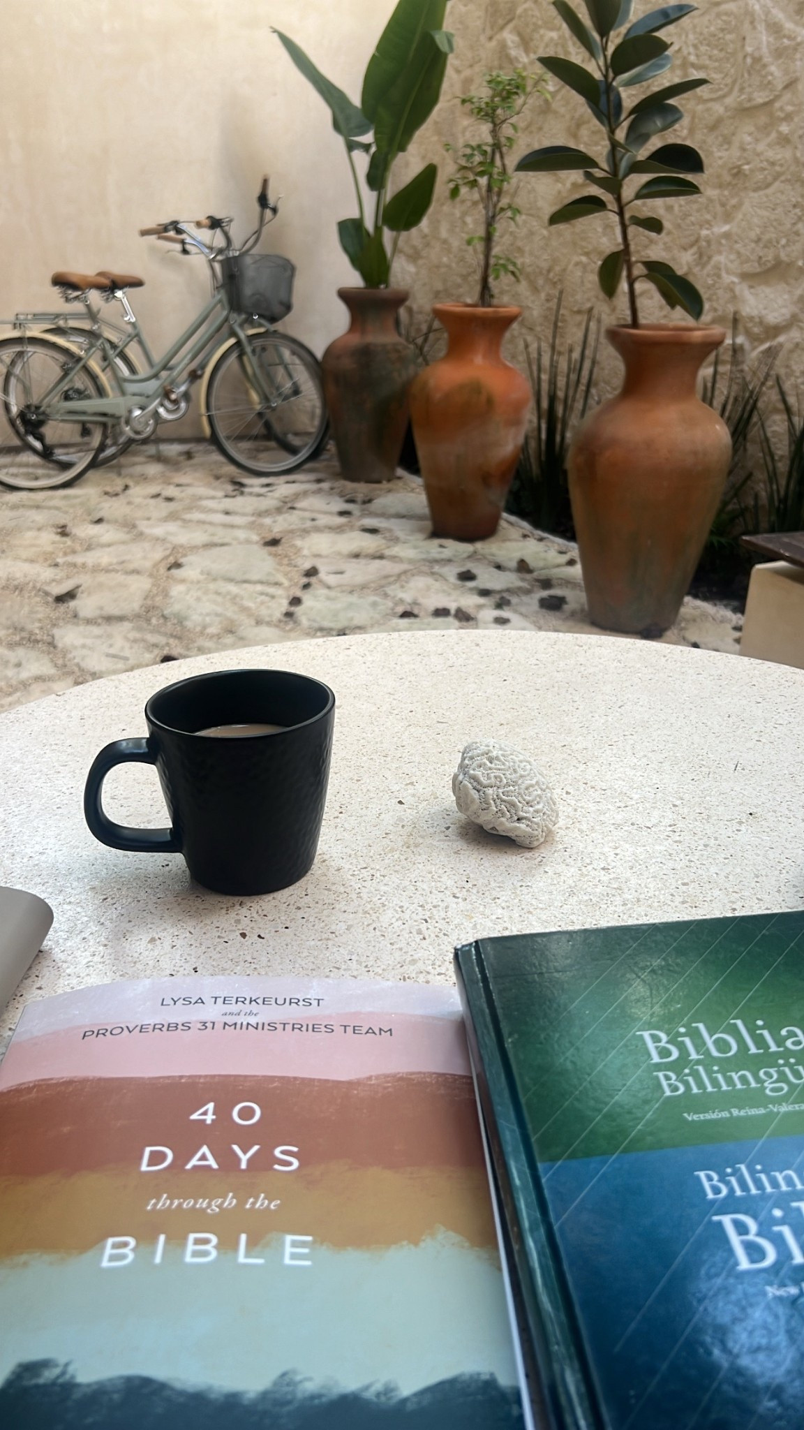 My current bible study that I am truly loving 🤍

#LTKFindsUnder50 #LTKHoliday #LTKGiftGuide