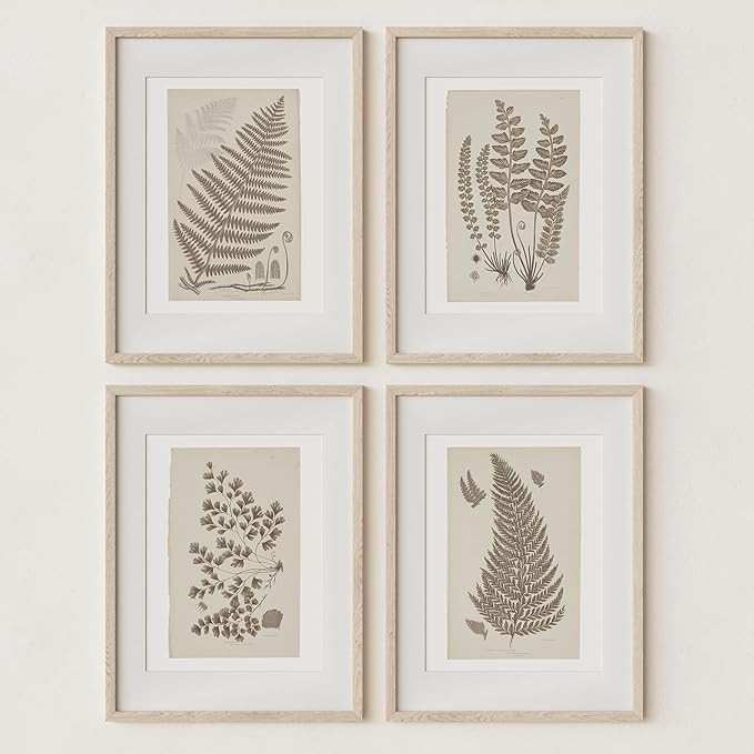 Wall Art Prints Botanical Fern Collection | Vintage Plant Decor for Home Accent | Antique Minimal... | Amazon (US)