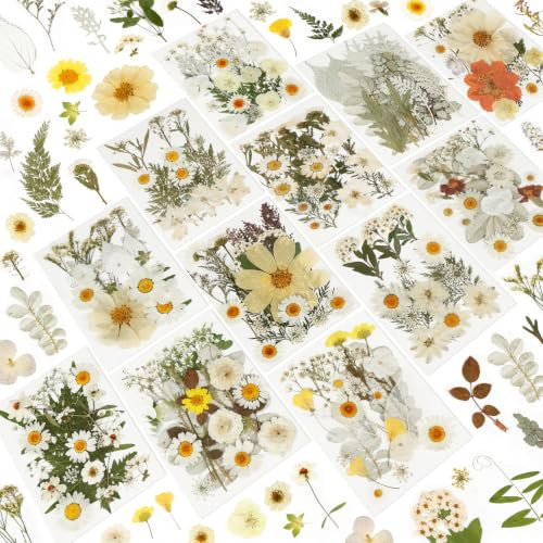 NESCCI 247 Pcs Dried Flowers for Crafts,Real Natural Dried Pressed Flowers | Amazon (US)