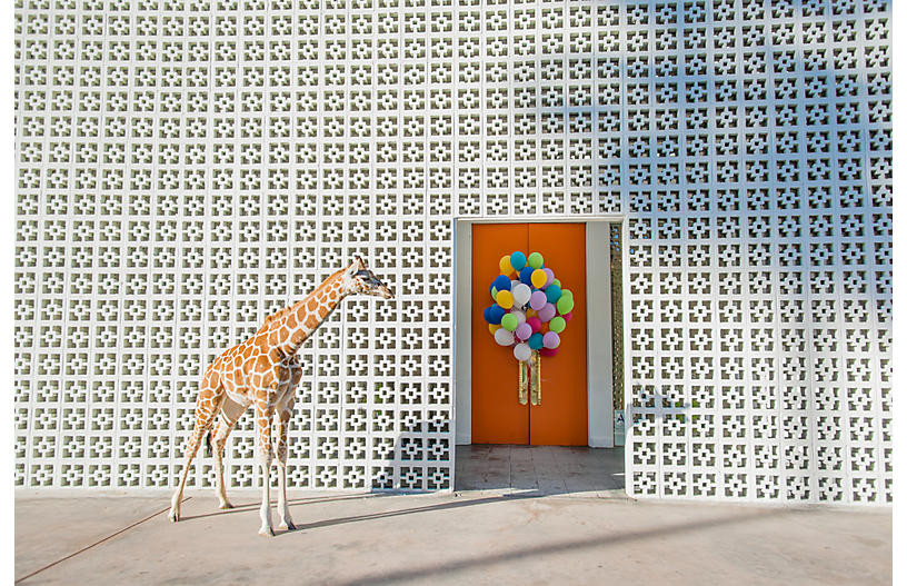 Gray Malin - Welcome to the Parker Art | One Kings Lane