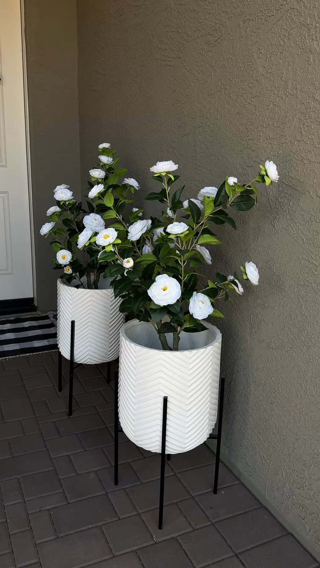 Front entrance spring refresh! 

@amazon @athome @worldmarket
@amazoninfluencerprogram @Target 
#instagood #viral #love #momlife #memes #usa #life #momsofinstagram #organizewithme #springcleaning #springrefresh #amazon #amazonfashionfinds #bohohome #boho #instahomes #instastyles


#LTKHome #LTKSeasonal #LTKU