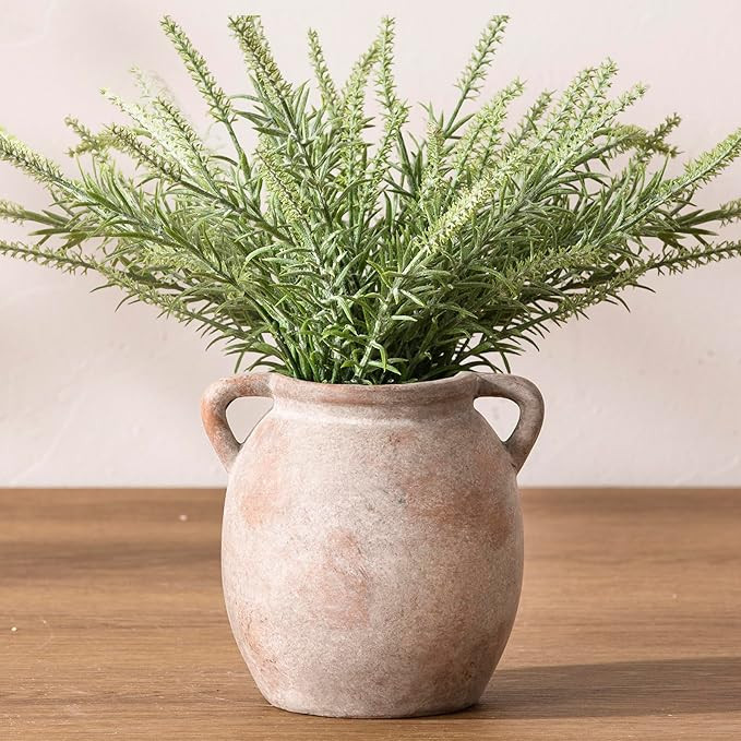 Dobbyby Ceramic Flower Small Vase 6 inch Farmhouse Rustic Vase Decorative Pottery Terracotta Vase... | Amazon (US)