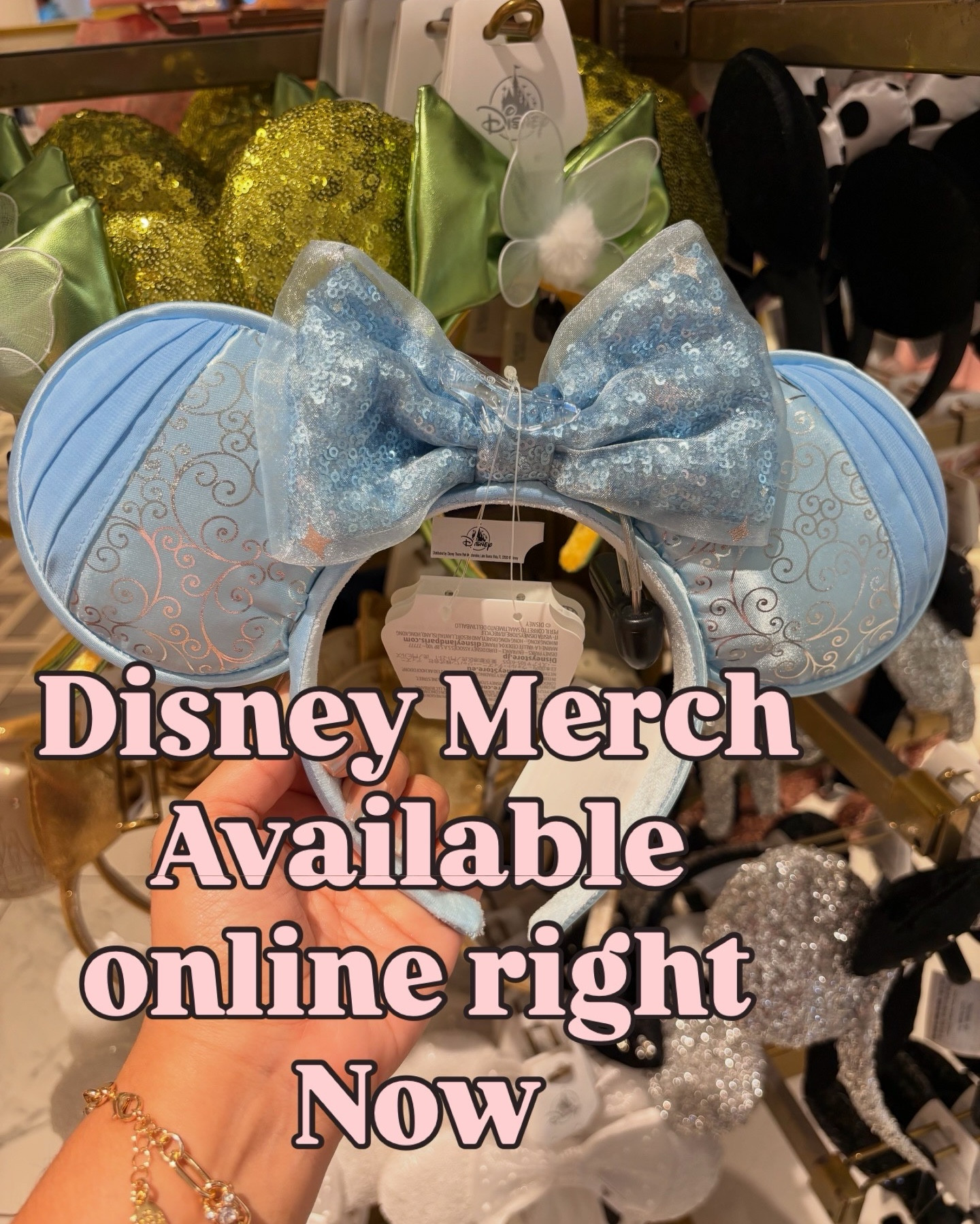 #disneymerch #disney #disneyland #waltdisneyworld

#LTKSeasonal