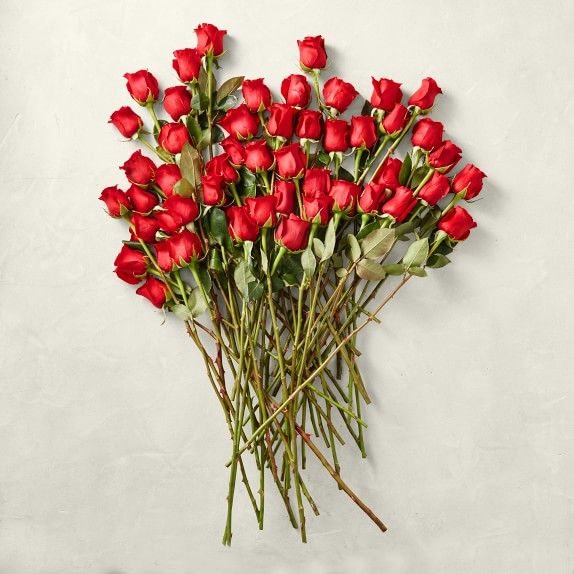 Bulk Red Fresh Rose Stems, Set of 50 | Williams-Sonoma