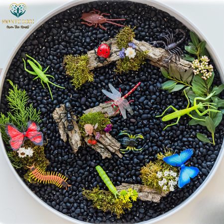 Black Bean 🫘 Safari LTD Bugs TOOB sensory bin

#LTKbaby #LTKkids #LTKfamily