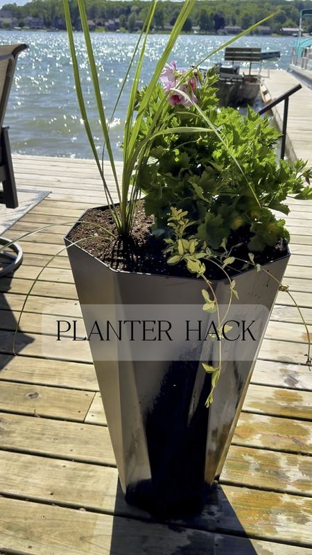 Save Soil with a Creative Planter Hack

Looking to fill a large planter without using up too much soil? Here's a clever hack using OSB (Oriented Strand Board) and a pool noodle. 

Gardening | Home Hack | Outdoor Living | Flower Pots | DIY | Summer Vibes 

#LTKHome #LTKVideo