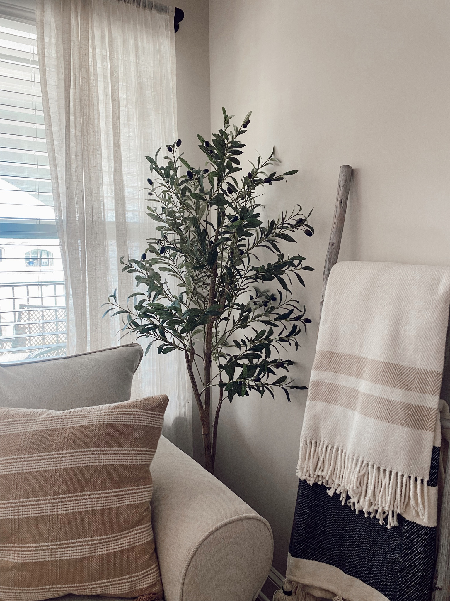 The cutest Olive Tree from Amazon! 

#LTKHomefinds #amazonfinds 
#amazon #kirklands #amazonhomefinds

#LTKFind #LTKhome #LTKstyletip
