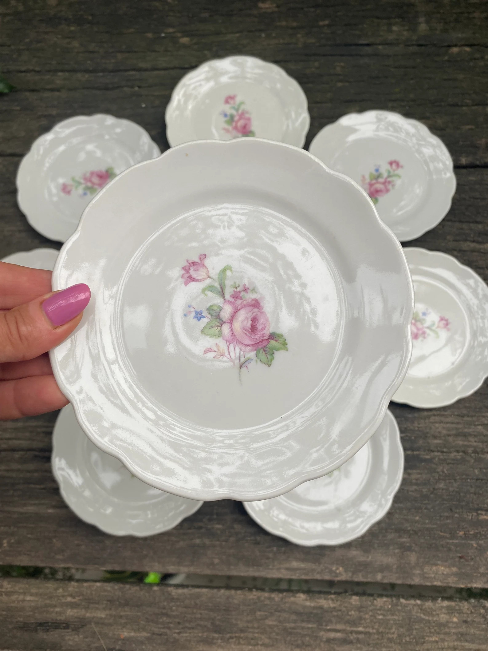Vintage Plates Porcelain Small White Plates Rose, Beautiful Set of 6 Plates Pink Rose, Porcelain ... | Etsy (US)