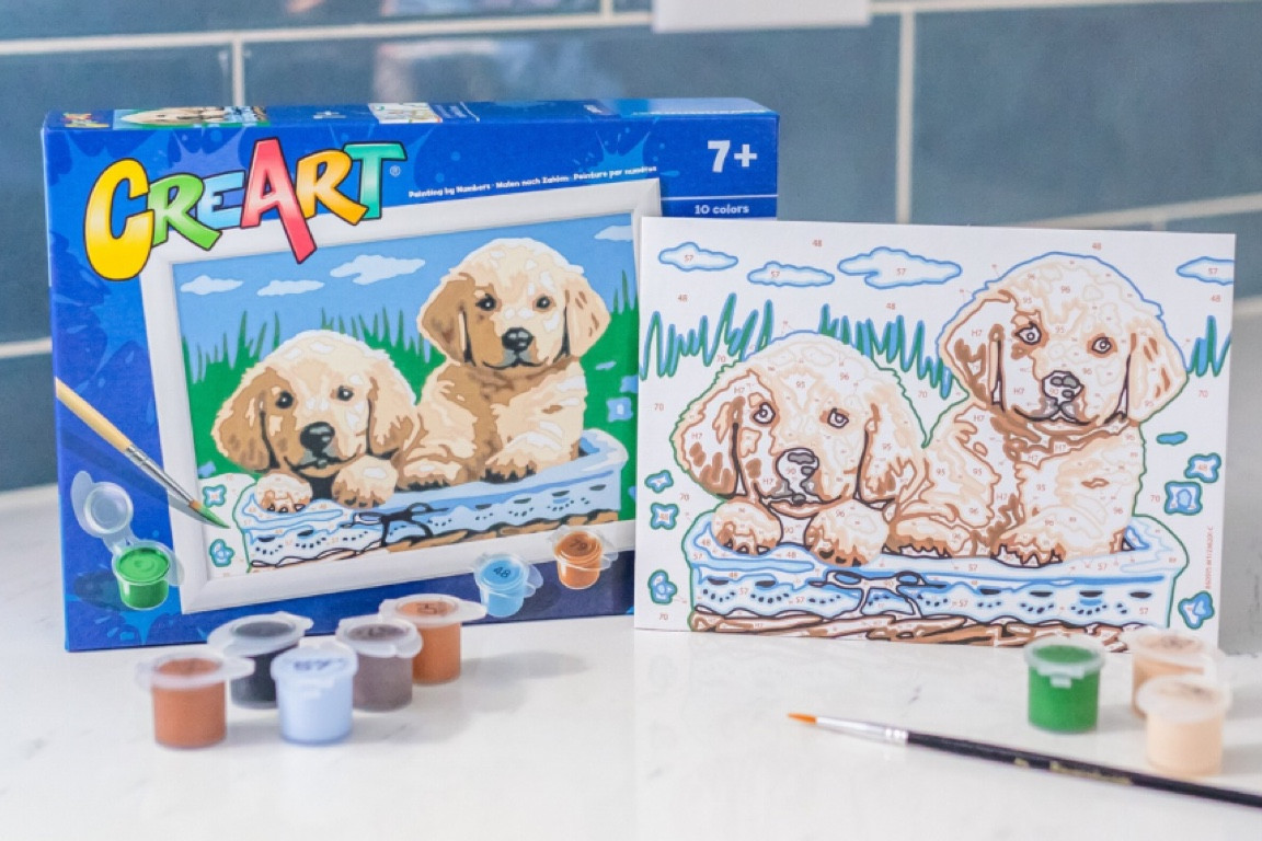Paint by number – kids art kit! Fun gift for eight year old girls and boys!

#LTKGiftGuide #LTKKids #LTKFamily
